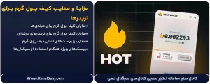مزایا-و-معایب-کیف-پول-گرم-برای-تریدرها