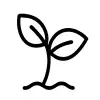 آیکن بازی Sprout