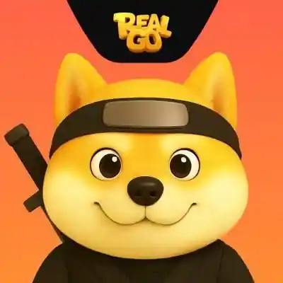 آیکن بازی RealGo